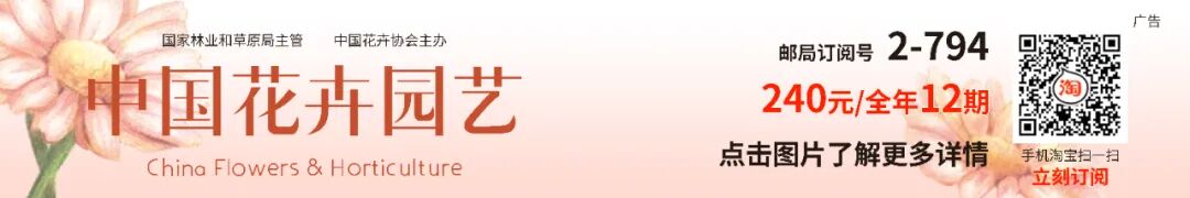 怎么介绍ipm10陈凤翔：10年回眸IPM埃森国际花展有感 ｜ 动态_https://www.jmylbn.com_新闻资讯_第1张
