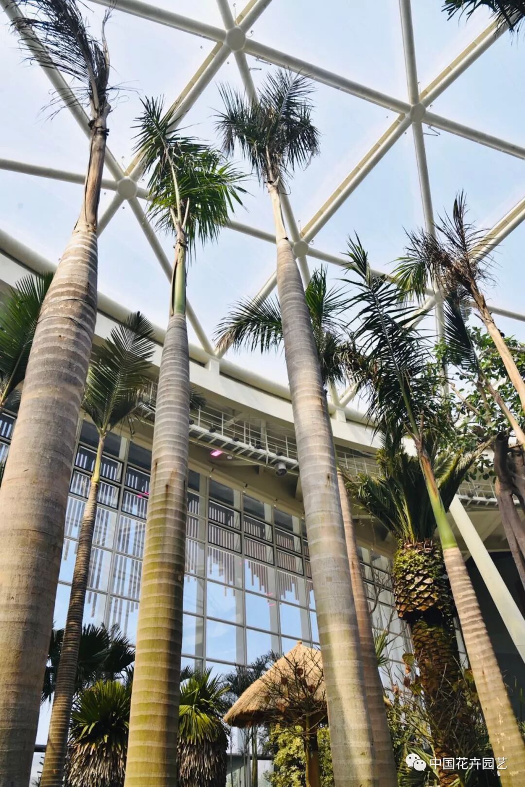 探秘北京世园会植物馆 提前领略“万花筒”的奥秘 | 动态