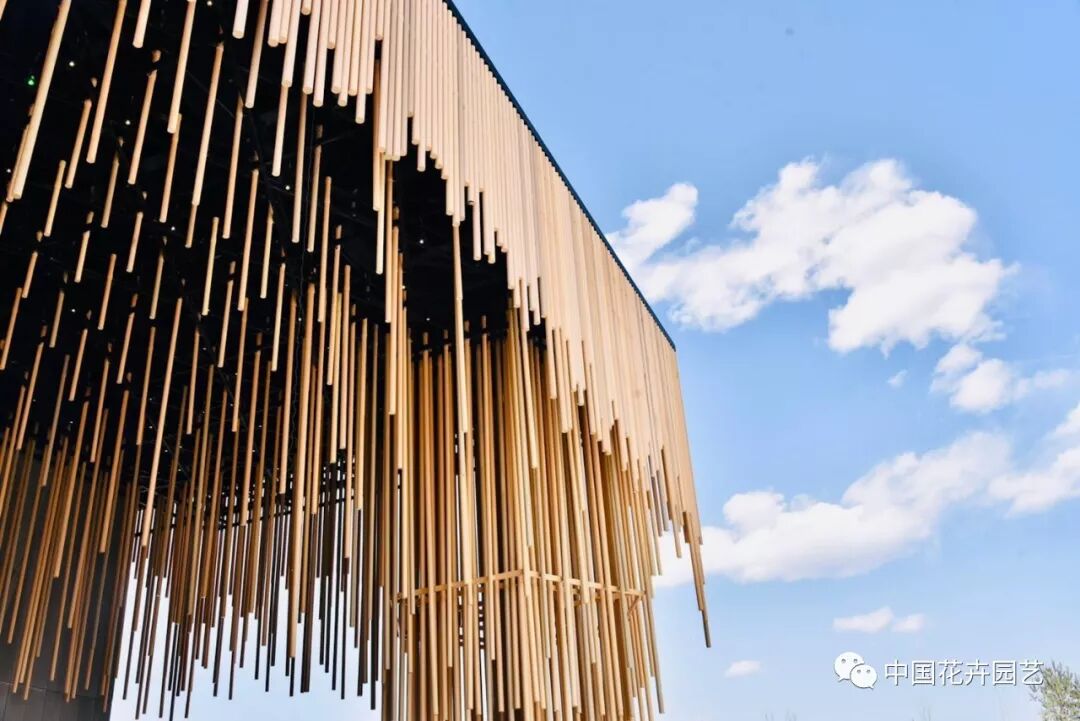 探秘北京世园会植物馆 提前领略“万花筒”的奥秘 | 动态