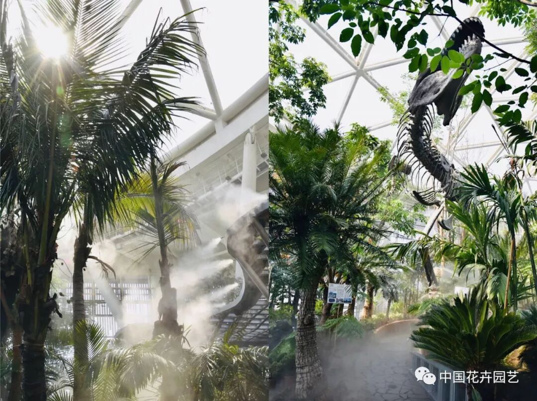 探秘北京世园会植物馆 提前领略“万花筒”的奥秘 | 动态