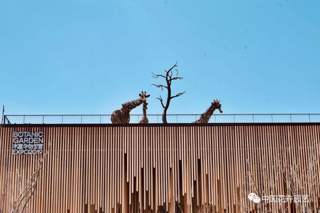 探秘北京世园会植物馆 提前领略“万花筒”的奥秘 | 动态