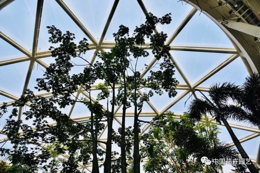 探秘北京世园会植物馆 提前领略“万花筒”的奥秘 | 动态