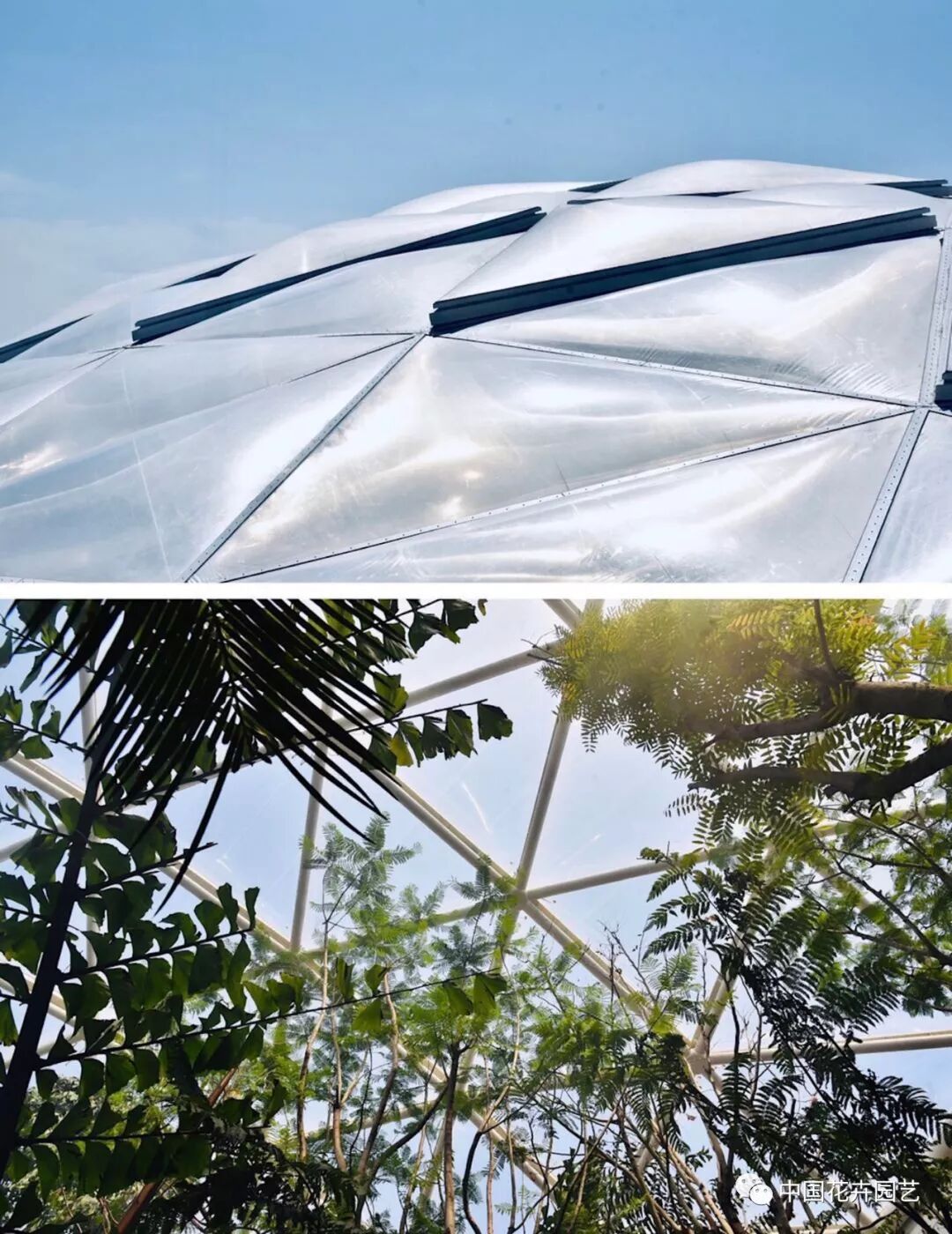 探秘北京世园会植物馆 提前领略“万花筒”的奥秘 | 动态