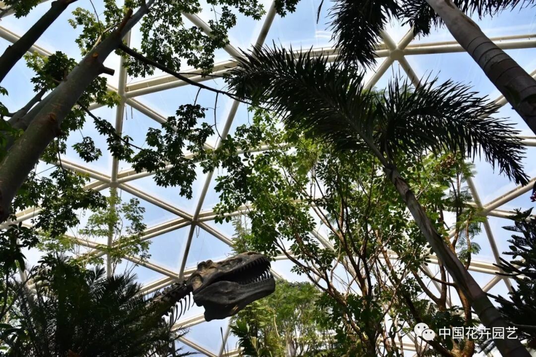 探秘北京世园会植物馆 提前领略“万花筒”的奥秘 | 动态