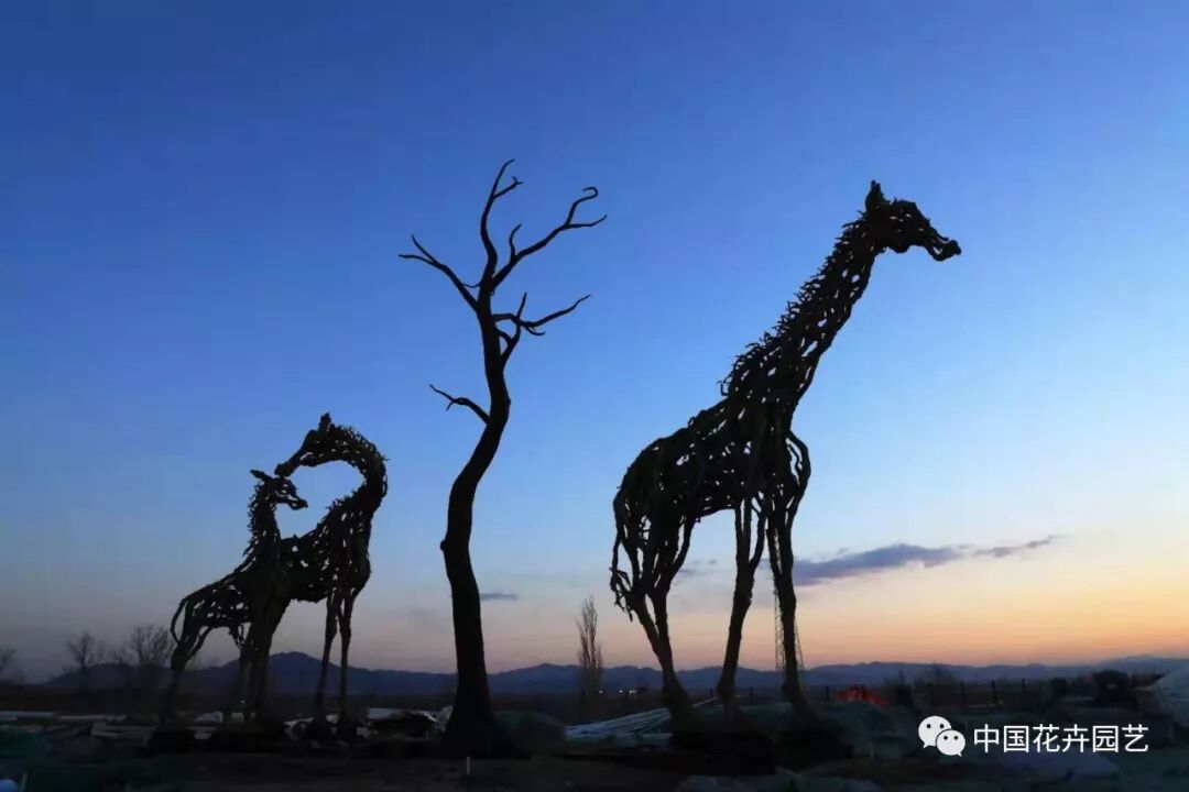 探秘北京世园会植物馆 提前领略“万花筒”的奥秘 | 动态