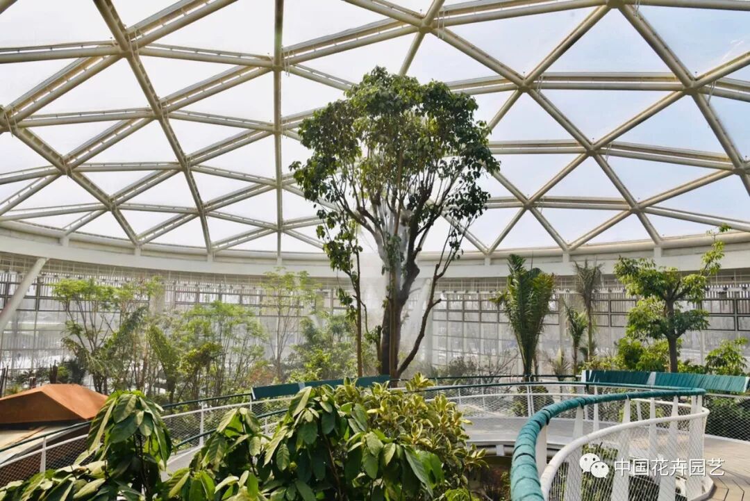 探秘北京世园会植物馆 提前领略“万花筒”的奥秘 | 动态