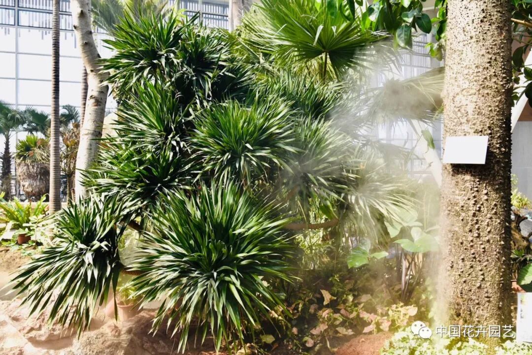 探秘北京世园会植物馆 提前领略“万花筒”的奥秘 | 动态