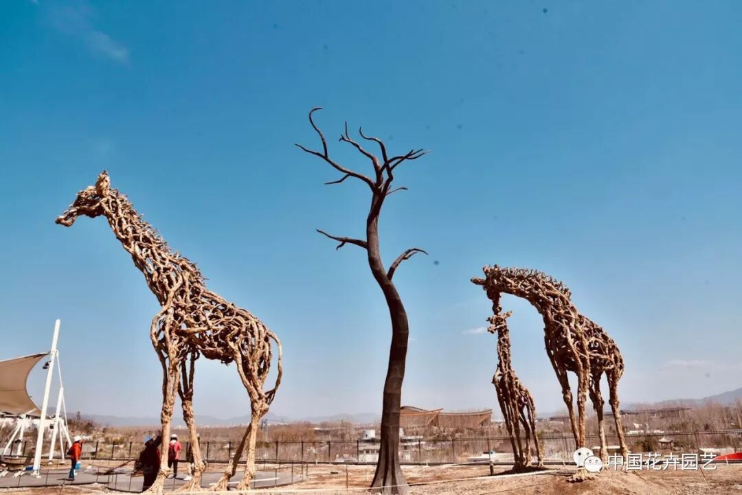 探秘北京世园会植物馆 提前领略“万花筒”的奥秘 | 动态