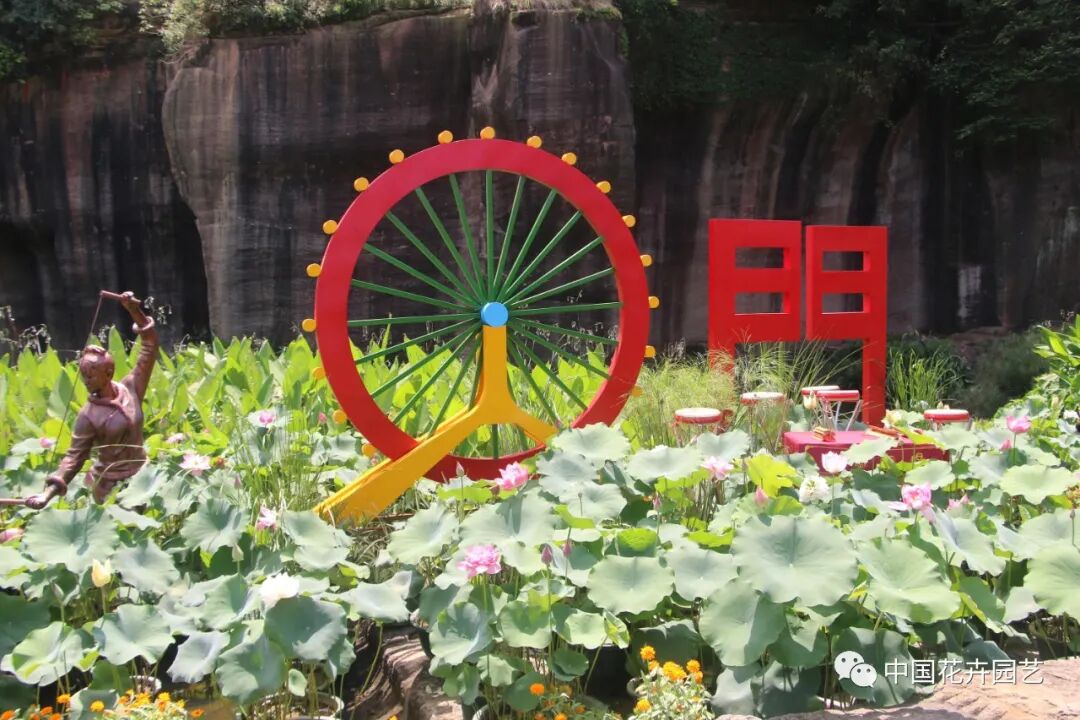 六月莲荷艳 番禺莲花山赏新景——第34届全国荷花展览