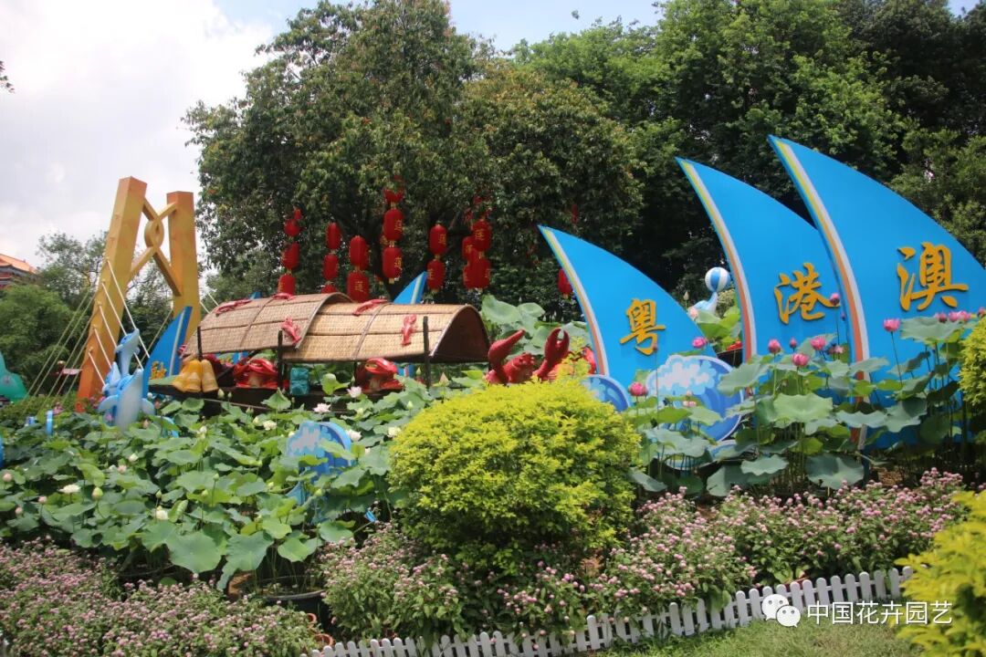 六月莲荷艳 番禺莲花山赏新景——第34届全国荷花展览