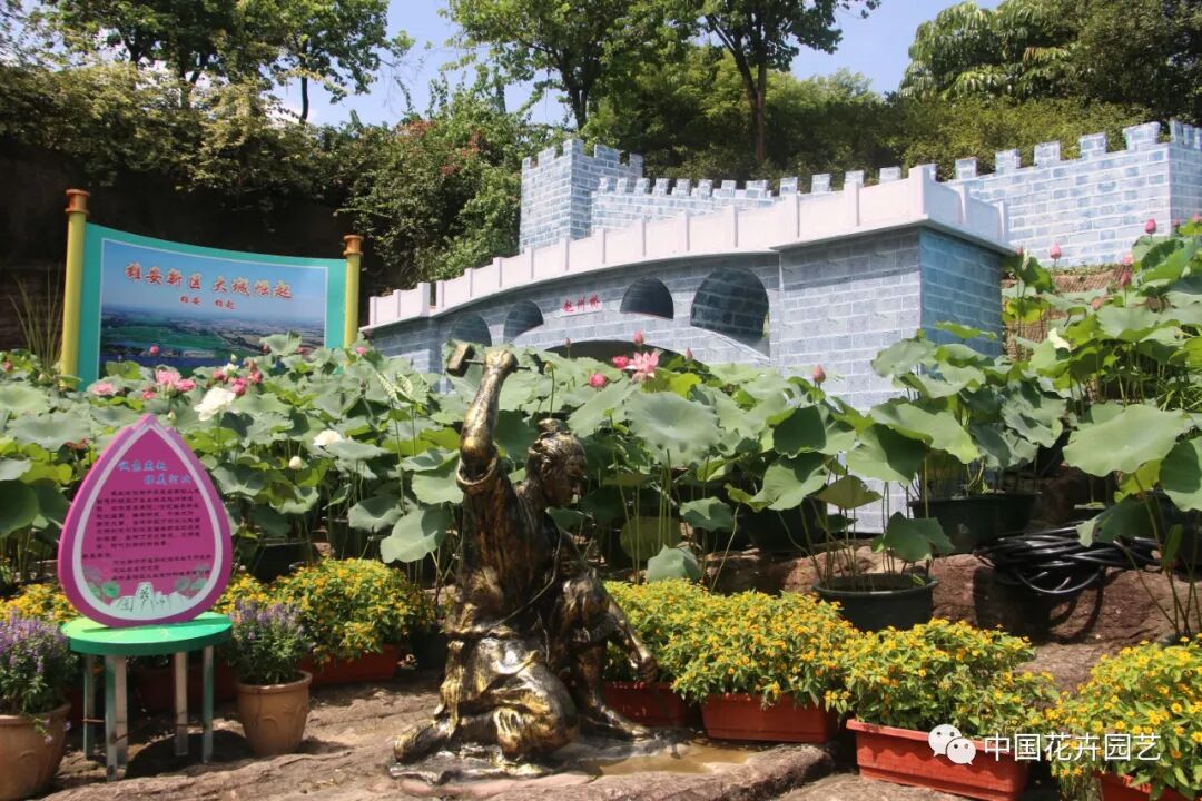 六月莲荷艳 番禺莲花山赏新景——第34届全国荷花展览