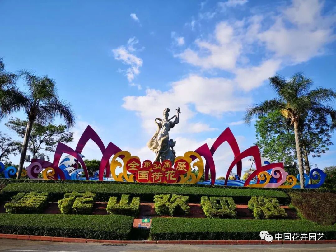 六月莲荷艳 番禺莲花山赏新景——第34届全国荷花展览