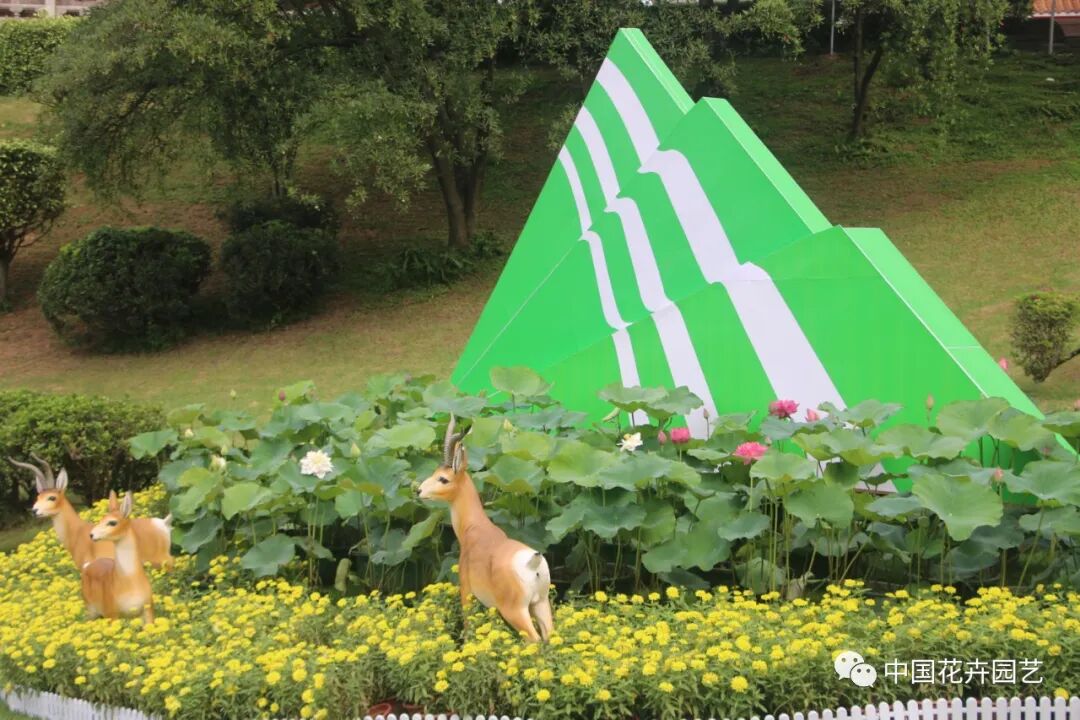 六月莲荷艳 番禺莲花山赏新景——第34届全国荷花展览