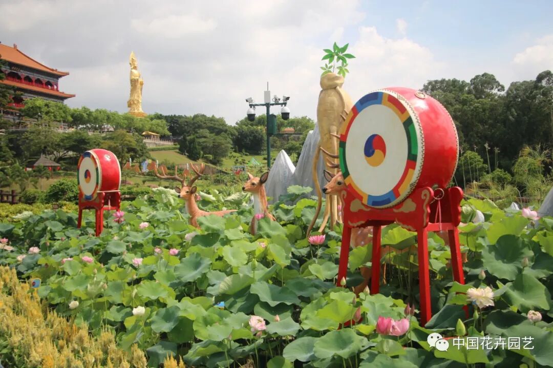 六月莲荷艳 番禺莲花山赏新景——第34届全国荷花展览