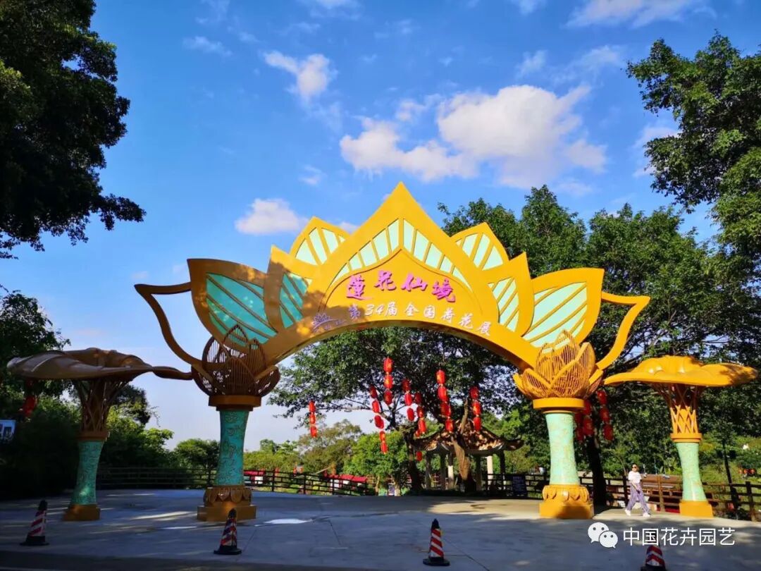 六月莲荷艳 番禺莲花山赏新景——第34届全国荷花展览