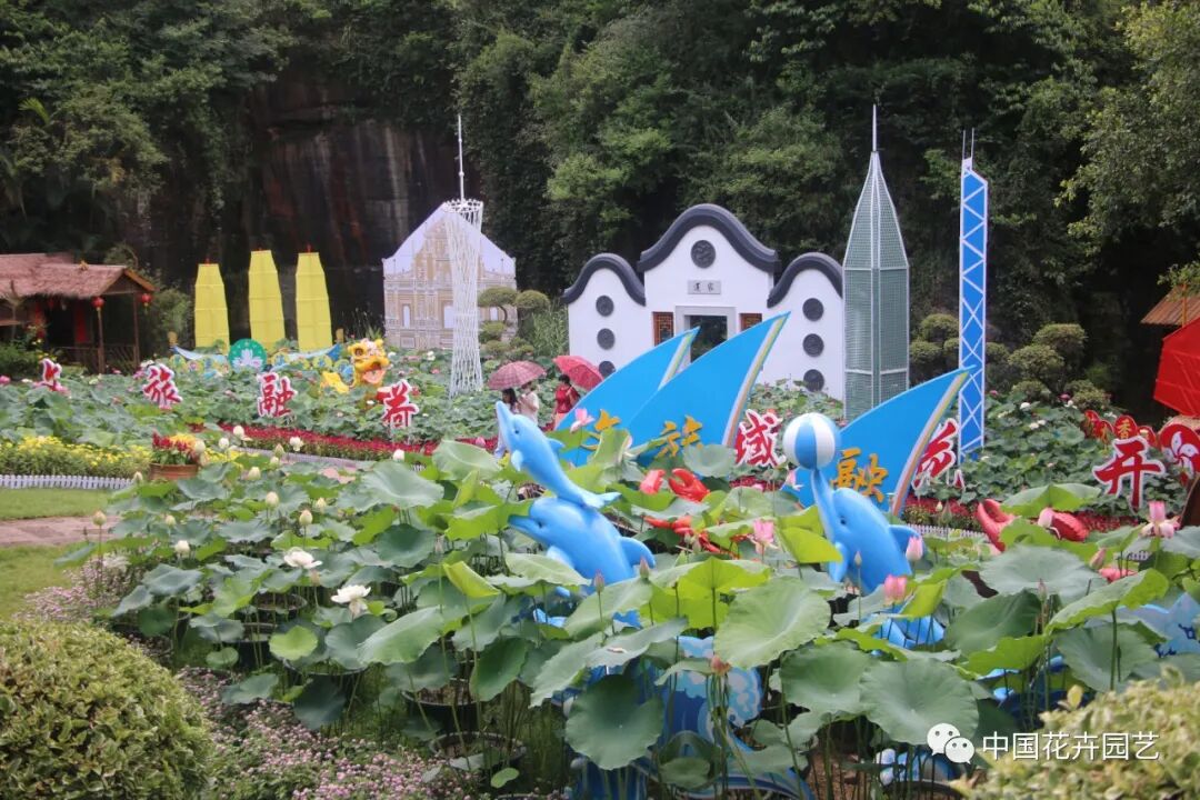 六月莲荷艳 番禺莲花山赏新景——第34届全国荷花展览