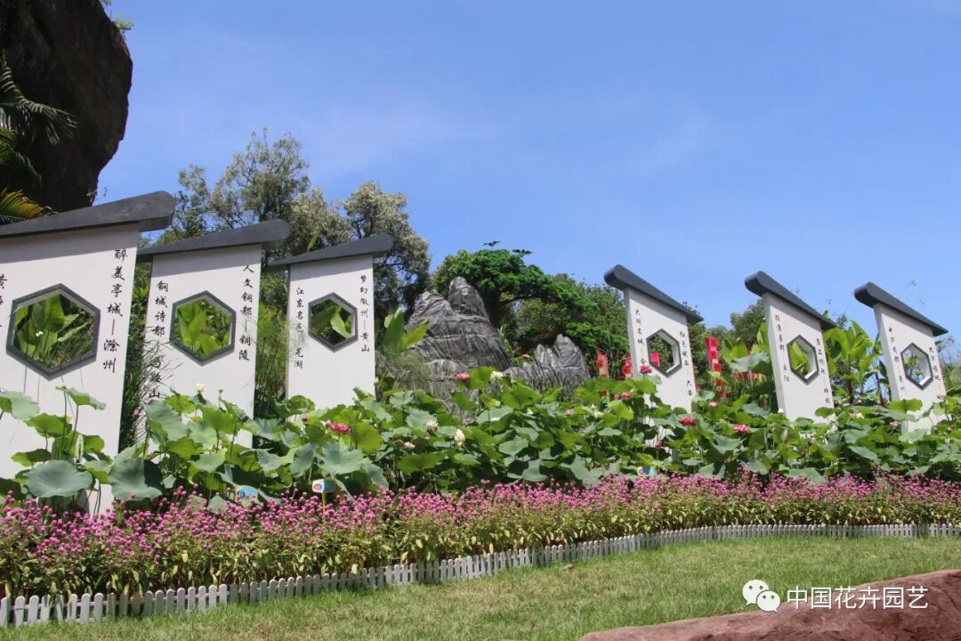 六月莲荷艳 番禺莲花山赏新景——第34届全国荷花展览