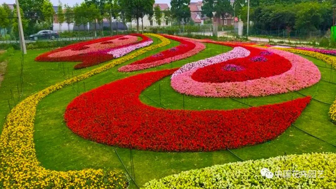 第十届花博会 | 花博会花卉储备工作取得阶段性成果