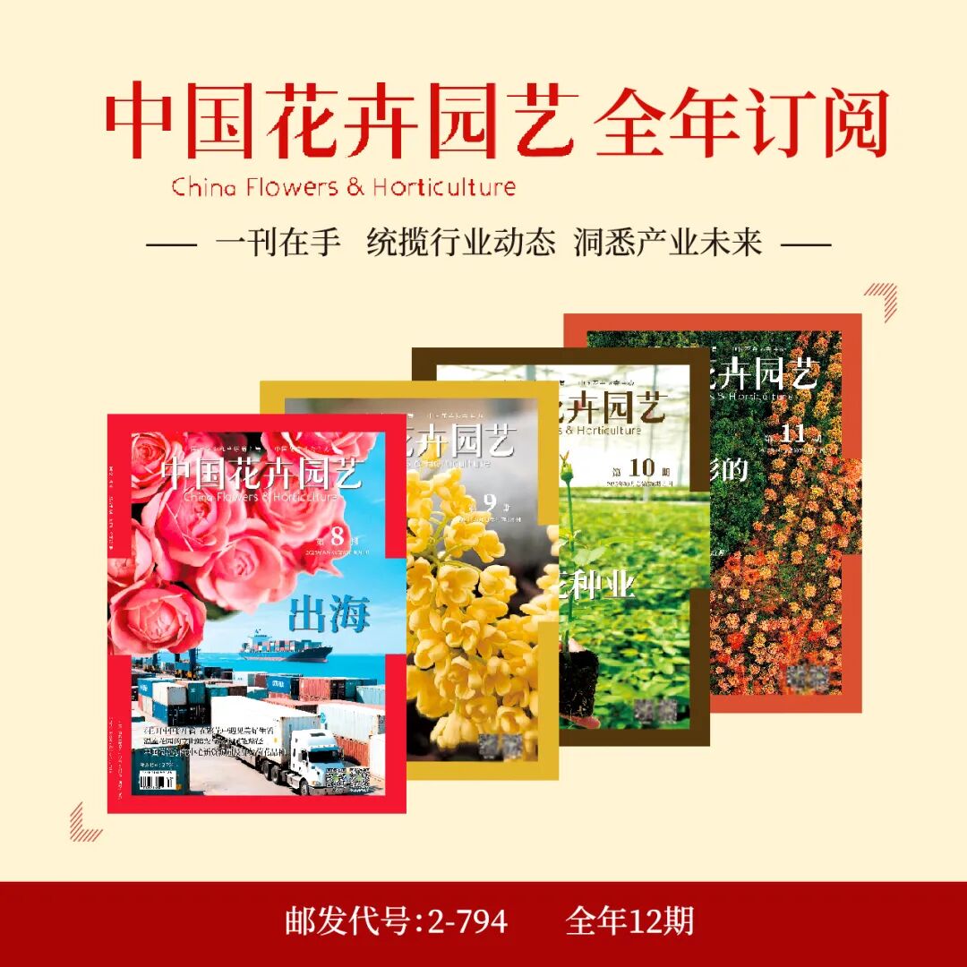 怎么介绍ipm10陈凤翔：10年回眸IPM埃森国际花展有感 ｜ 动态_https://www.jmylbn.com_新闻资讯_第17张