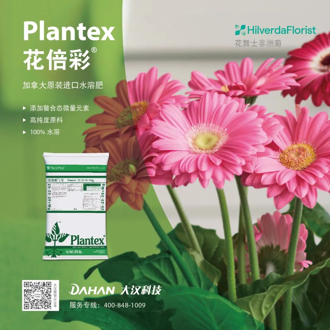 怎么介绍ipm10陈凤翔：10年回眸IPM埃森国际花展有感 ｜ 动态_https://www.jmylbn.com_新闻资讯_第19张