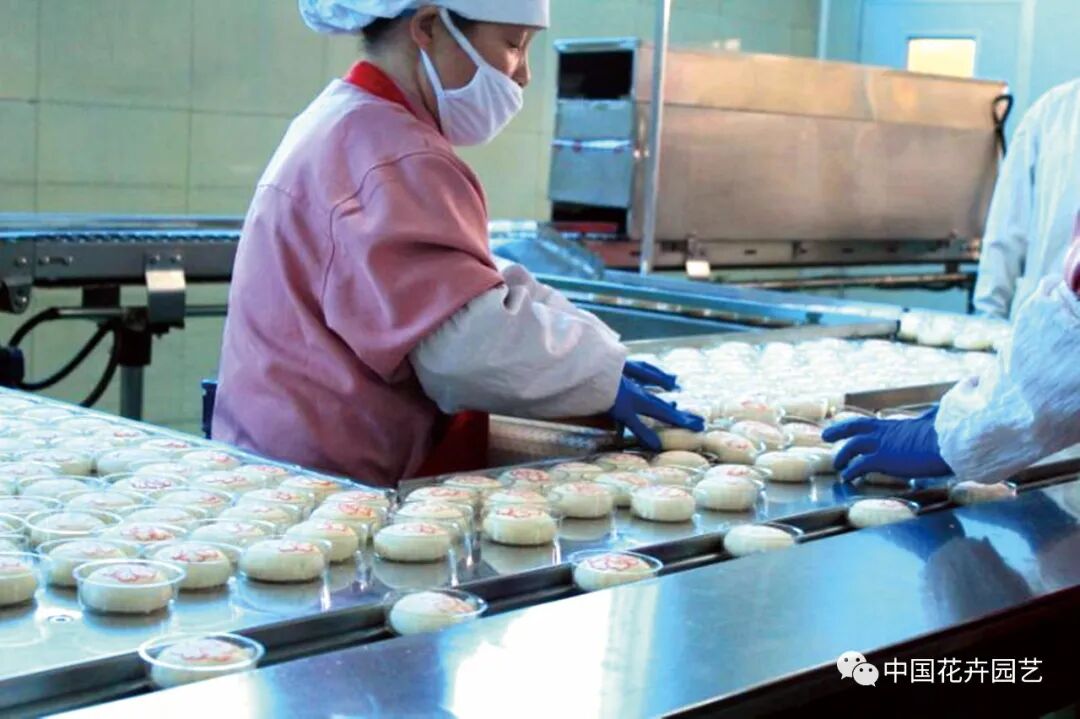 “花”樣美食激活“甜蜜”經(jīng)濟(jì)（上）