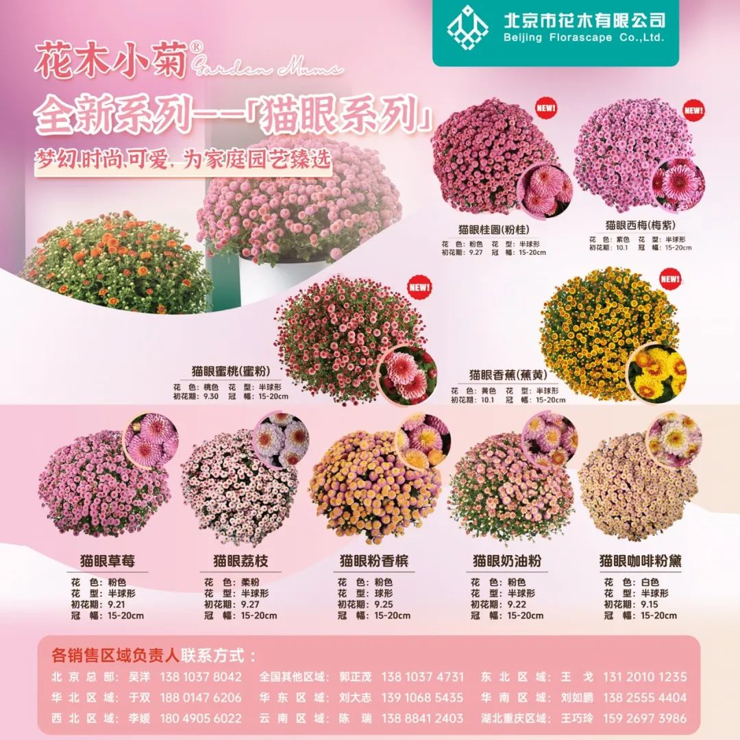 怎么介绍ipm10陈凤翔：10年回眸IPM埃森国际花展有感 ｜ 动态_https://www.jmylbn.com_新闻资讯_第16张