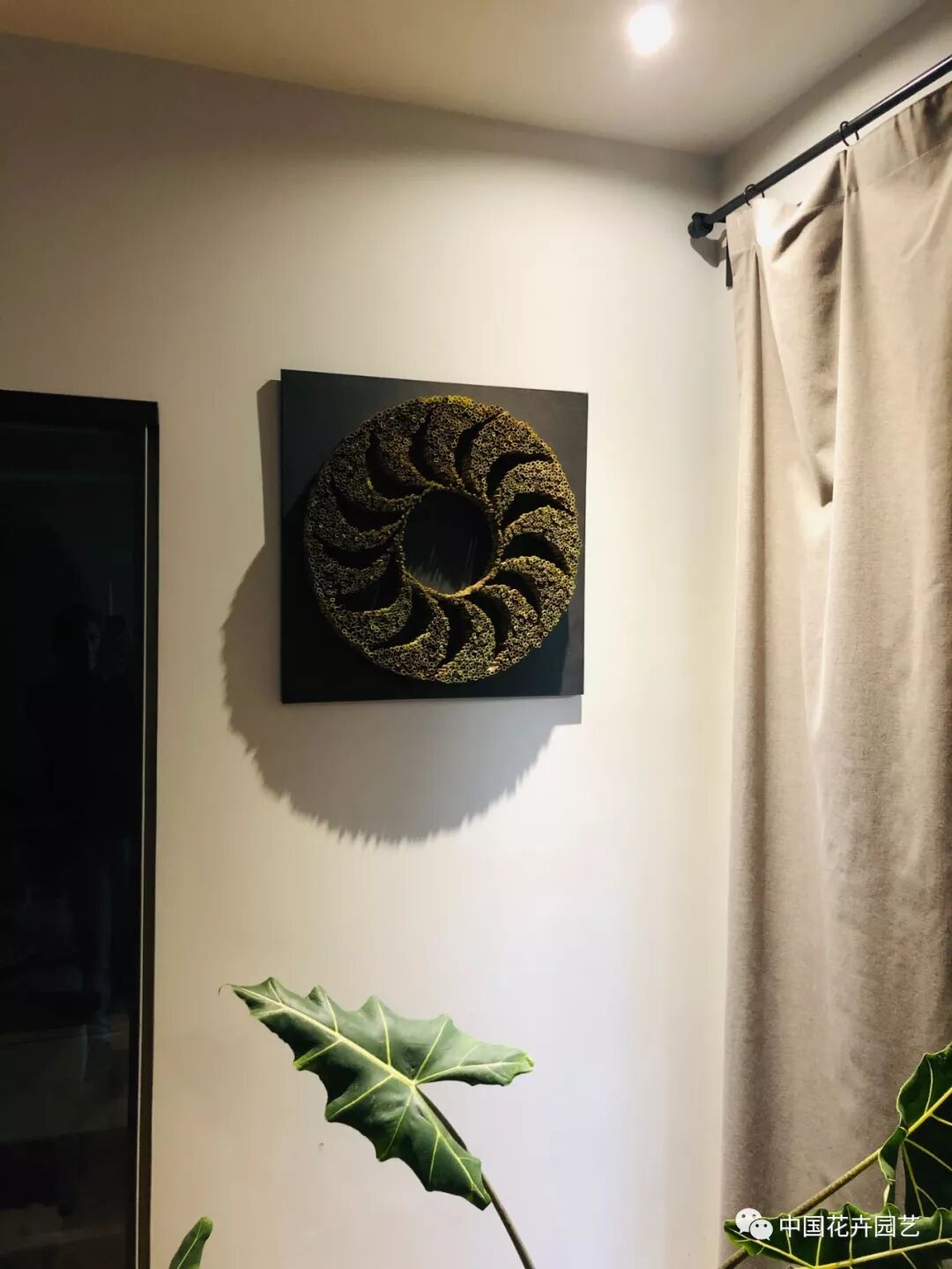 花藝設(shè)計(jì)居家應(yīng)用 