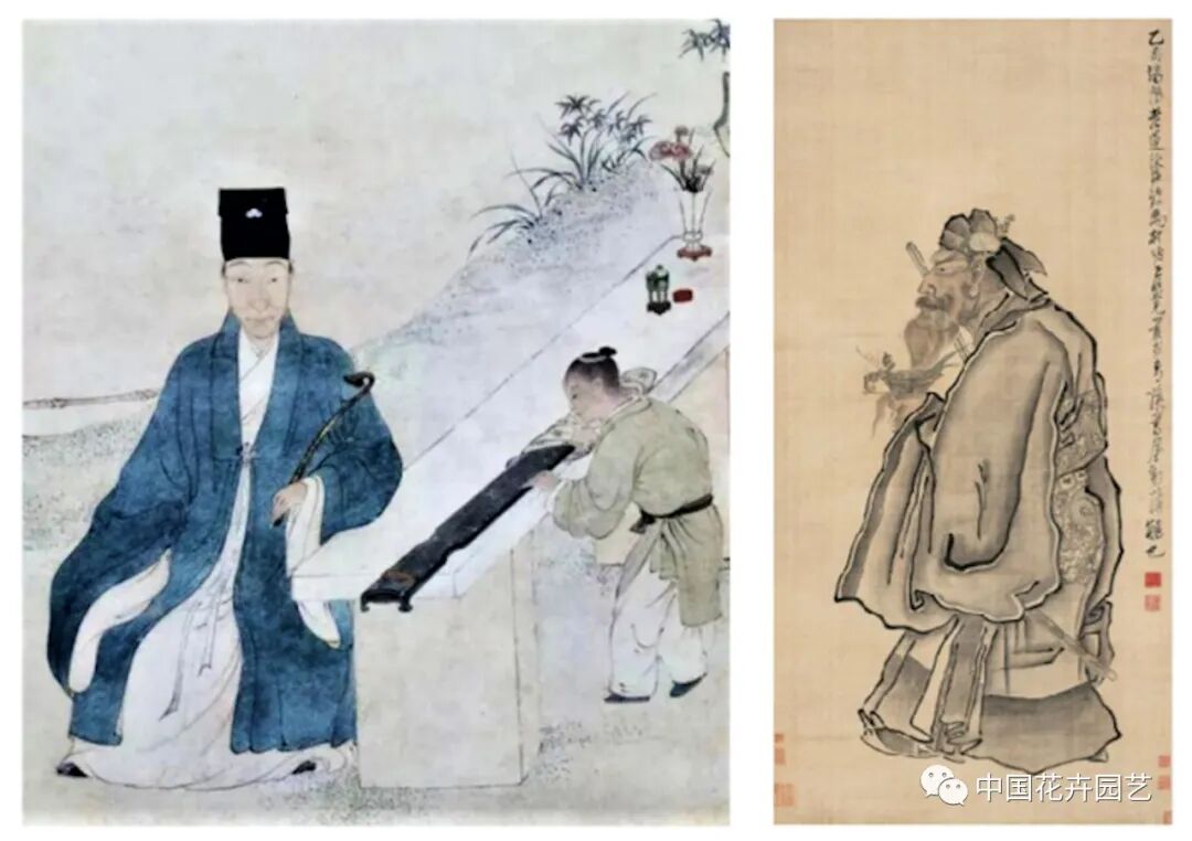 过端午啦！说说插花与民俗中的菖蒲文化 | 动态