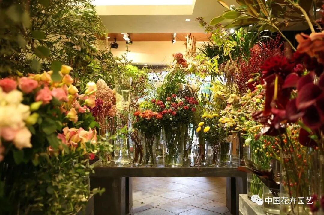 疫情下对实体花卉购物场所的发展思考 | 动态