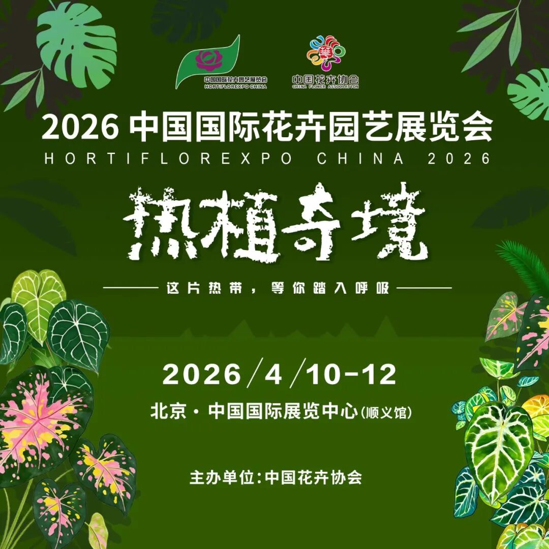 怎么介绍ipm10陈凤翔：10年回眸IPM埃森国际花展有感 ｜ 动态_https://www.jmylbn.com_新闻资讯_第15张