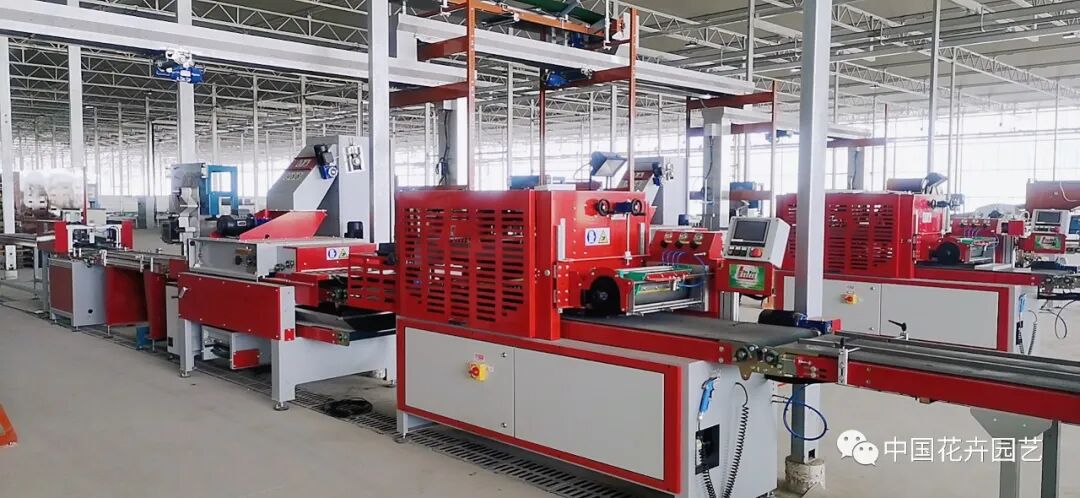 第十届花博会 | 迎花博2020上海崇明国际新优花卉品种展示会5月盛放