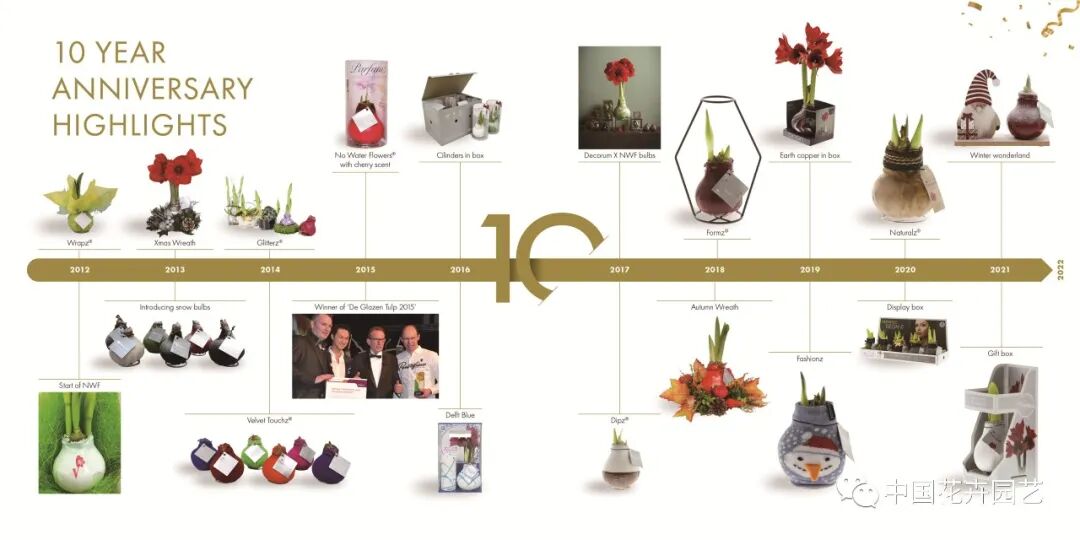 红蜡片怎么使用说说网红礼物——蜡封朱顶红 ｜ “花·礼”专题_https://www.jmylbn.com_新闻资讯_第3张