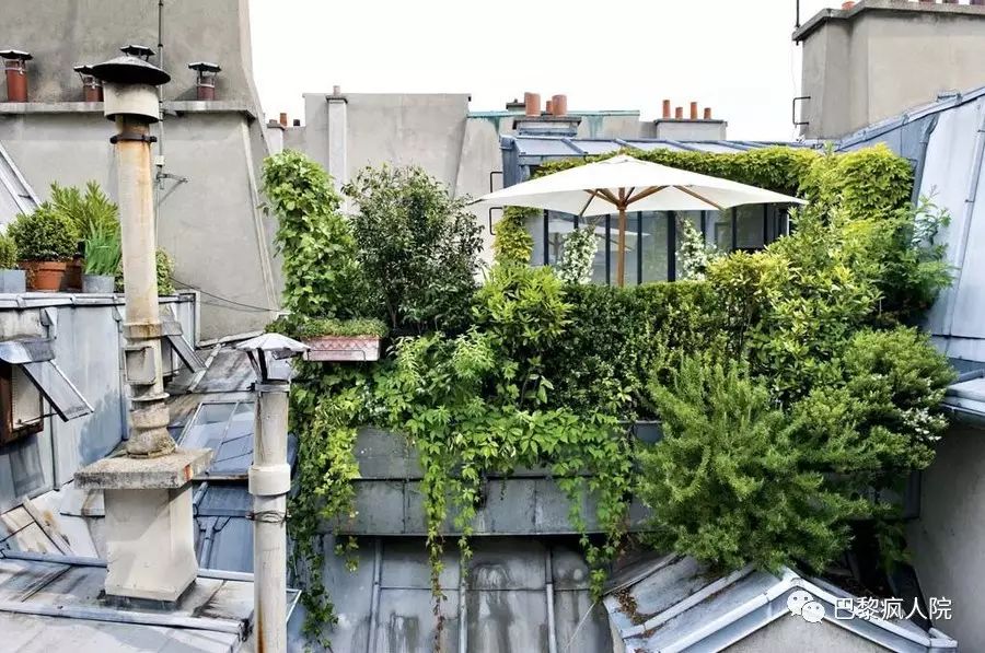 , 震惊！巴黎屋顶工人都要进世界非物质文化遗产了？！, My Crazy Paris