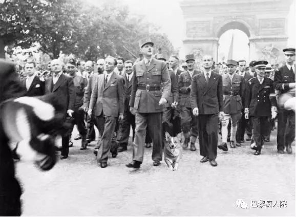 , 马克龙的“法国第一狗”尼莫跟他的弟兄们 I 登上维基百科，歌手为其写歌，破坏珍贵家具&#8230;这狗生&#8230;, My Crazy Paris