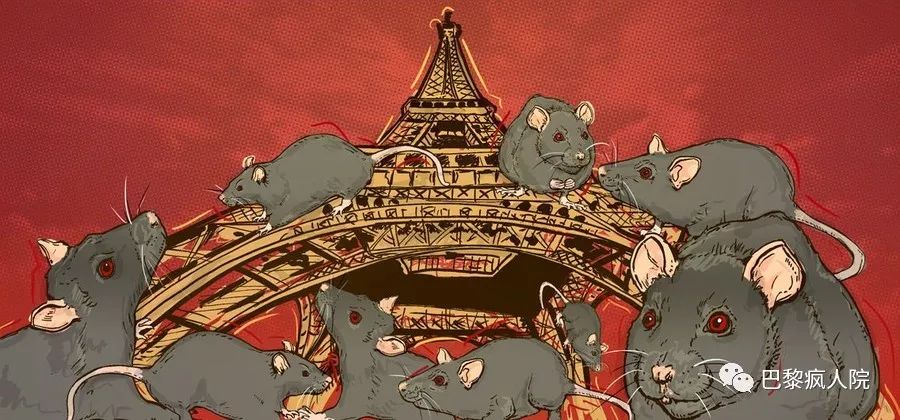 , 你见过凌晨四点巴黎街头的大老鼠吗？数量不过是巴黎市民的两倍而已……, My Crazy Paris