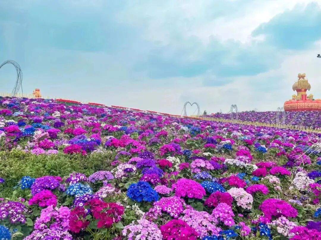 22繁花22已至超全版铜梁春日赏花指南请收好