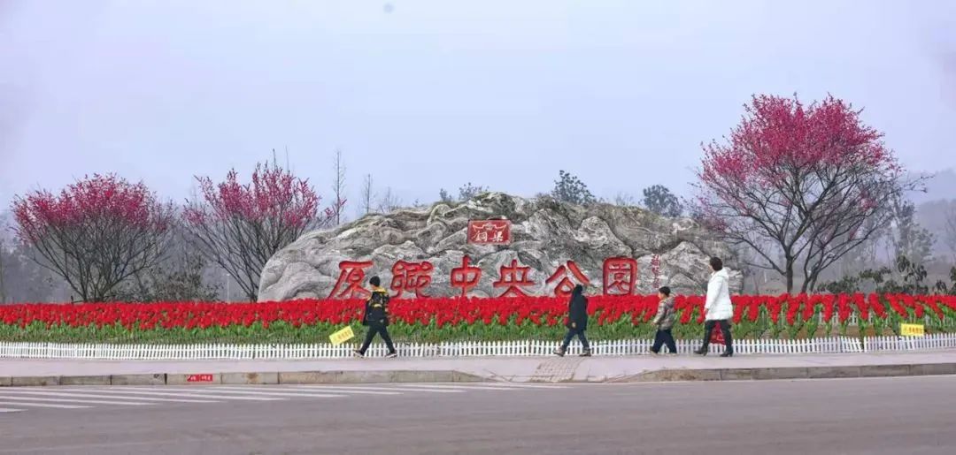 22繁花22已至超全版铜梁春日赏花指南请收好