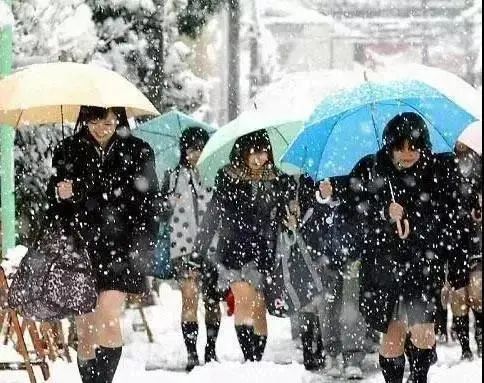 日本进口、REGART打底裤袜,黑科技吸湿发热纤维+尼龙66纱线、高密锁温;三段分压设计、美化臀腿线条、就像打了瘦腿针! 日本进口、REGART打底裤袜,黑科技吸湿发热纤维+尼龙66纱线、高密锁温;三段分压设计、美化臀腿线条、就像打了瘦腿针!