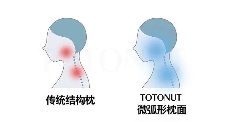 TOTONUT波浪枕,颈、肩、头顶、后脑勺黄金位支撑,21位世界冠军只用它!哥伦比亚大学团队研发,美国进口纤维、机洗不变形! TOTONUT波浪枕,颈、肩、头顶、后脑勺黄金位支撑,21位世界冠军只用它!哥伦比亚大学团队研发,美国进口纤维、机洗不变形!