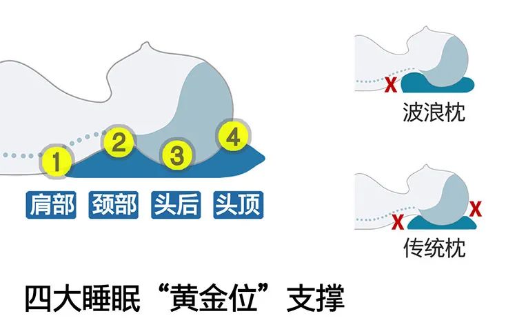 TOTONUT波浪枕,颈、肩、头顶、后脑勺黄金位支撑,21位世界冠军只用它!哥伦比亚大学团队研发,美国进口纤维、机洗不变形! TOTONUT波浪枕,颈、肩、头顶、后脑勺黄金位支撑,21位世界冠军只用它!哥伦比亚大学团队研发,美国进口纤维、机洗不变形!