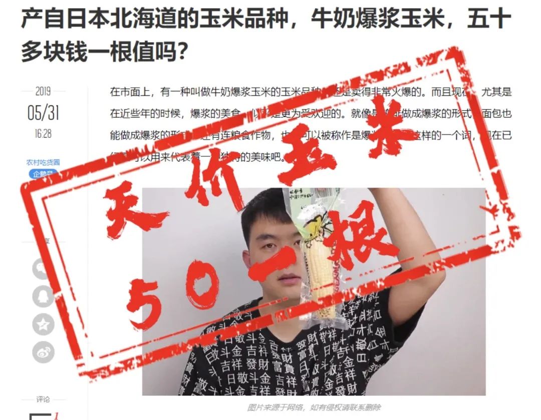 白小玉奶香玉米,国内唯一合法审定白色水果爆浆冰糖玉米种源,392项检测认证无农残非转基因,3小时极速鲜制黑科技,双层高阻隔真空袋 白小玉奶香玉米,国内唯一合法审定白色水果爆浆冰糖玉米种源,392项检测认证无农残非转基因,3小时极速鲜制黑科技,双层高阻隔真空袋