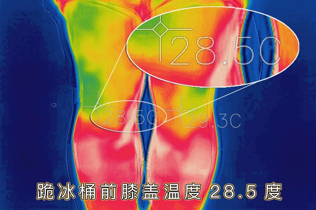 拯救老寒腿、办公室腿、御宅族腿!基础生活羊绒护膝,羊绒+远红外纤维+膝盖自发热贴片、裸腿跪冰温度反升;超薄隐形,穿紧身裤也看不出 拯救老寒腿、办公室腿、御宅族腿!基础生活羊绒护膝,羊绒+远红外纤维+膝盖自发热贴片、裸腿跪冰温度反升;超薄隐形,穿紧身裤也看不出