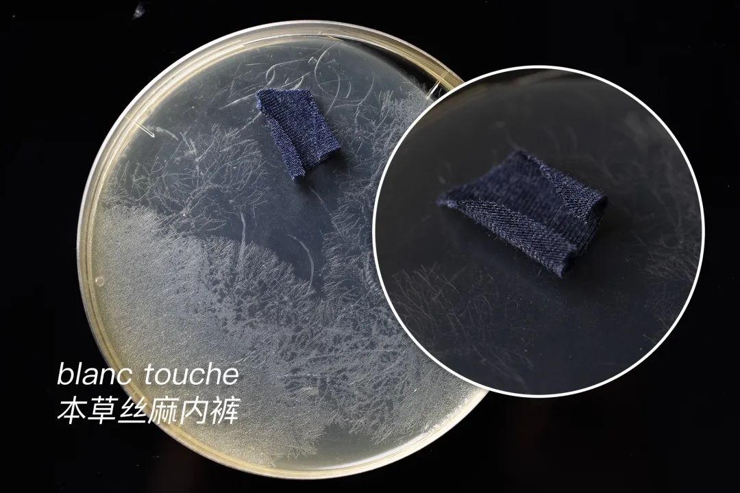 blanc touche丝麻蛋白抑菌护理裸感内裤,内裤病菌的终结者、抑菌率99%以上!拯救私处,善待下半身,从此干净清爽 blanc touche丝麻蛋白抑菌护理裸感内裤,内裤病菌的终结者、抑菌率99%以上!拯救私处,善待下半身,从此干净清爽