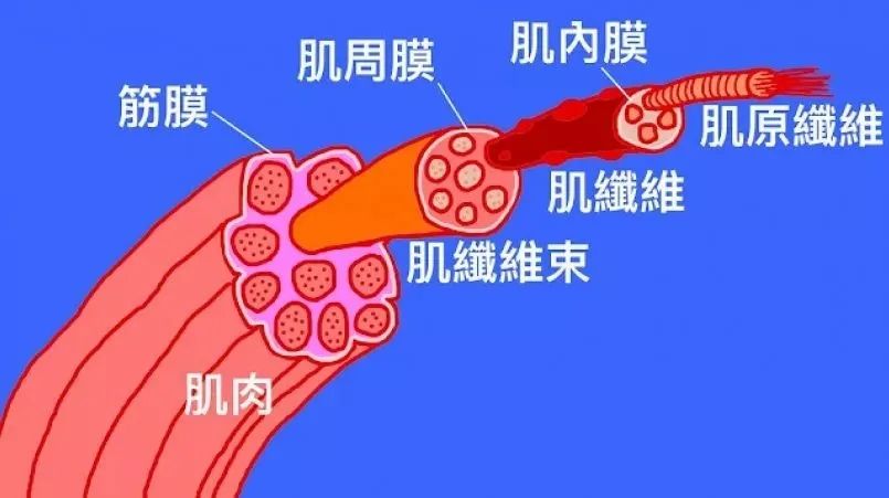 限时优惠、狂减1000元!用“小电钻”突突你的胸! 限时优惠、狂减1000元!用“小电钻”突突你的胸!