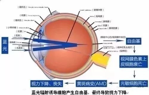 你是不是也每天玩手機5小時？你是不是也害怕這個結果？如果是，請看這裡！ 科技 第10張