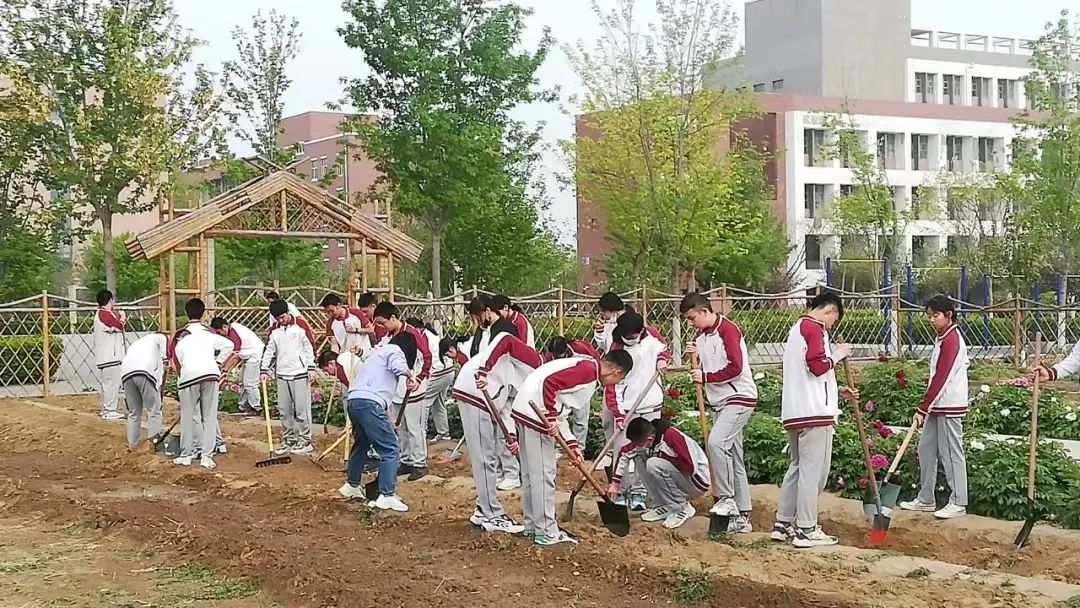 顺义一中与杨镇一中_顺义区杨镇一中高中部_顺义杨镇一中