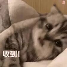 必看！澳Coles WWS ALDI，原来它家最便宜！超市内幕曝光，折扣有秘诀（组图） - 35