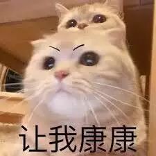 必看！澳Coles WWS ALDI，原来它家最便宜！超市内幕曝光，折扣有秘诀（组图） - 6
