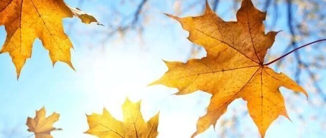 银行不得从事证券业务被明确，下周A股迎来变盘时刻