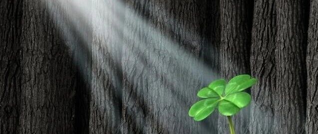 周末多利好助攻，下周A股将现冲高行情